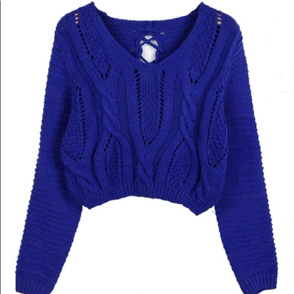 Blue “Pretty Guide” Long Sleeve Lace Up Crop Top